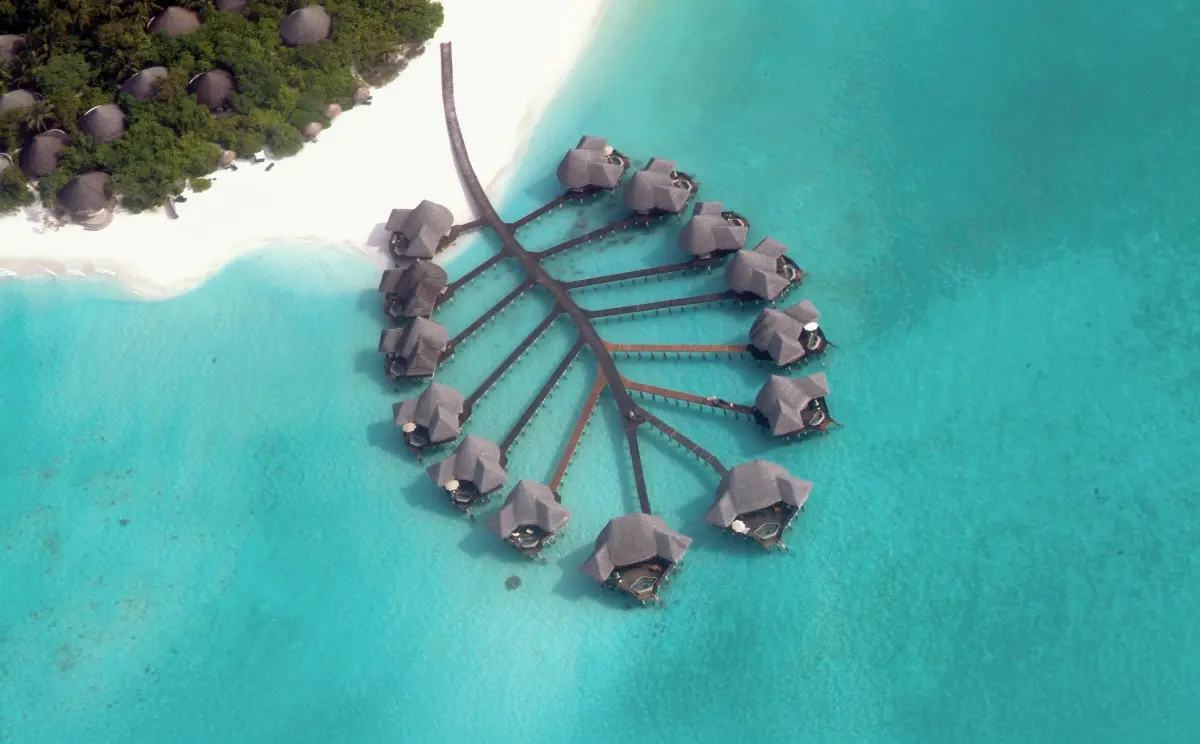 Coco Palm Dhunikolhu